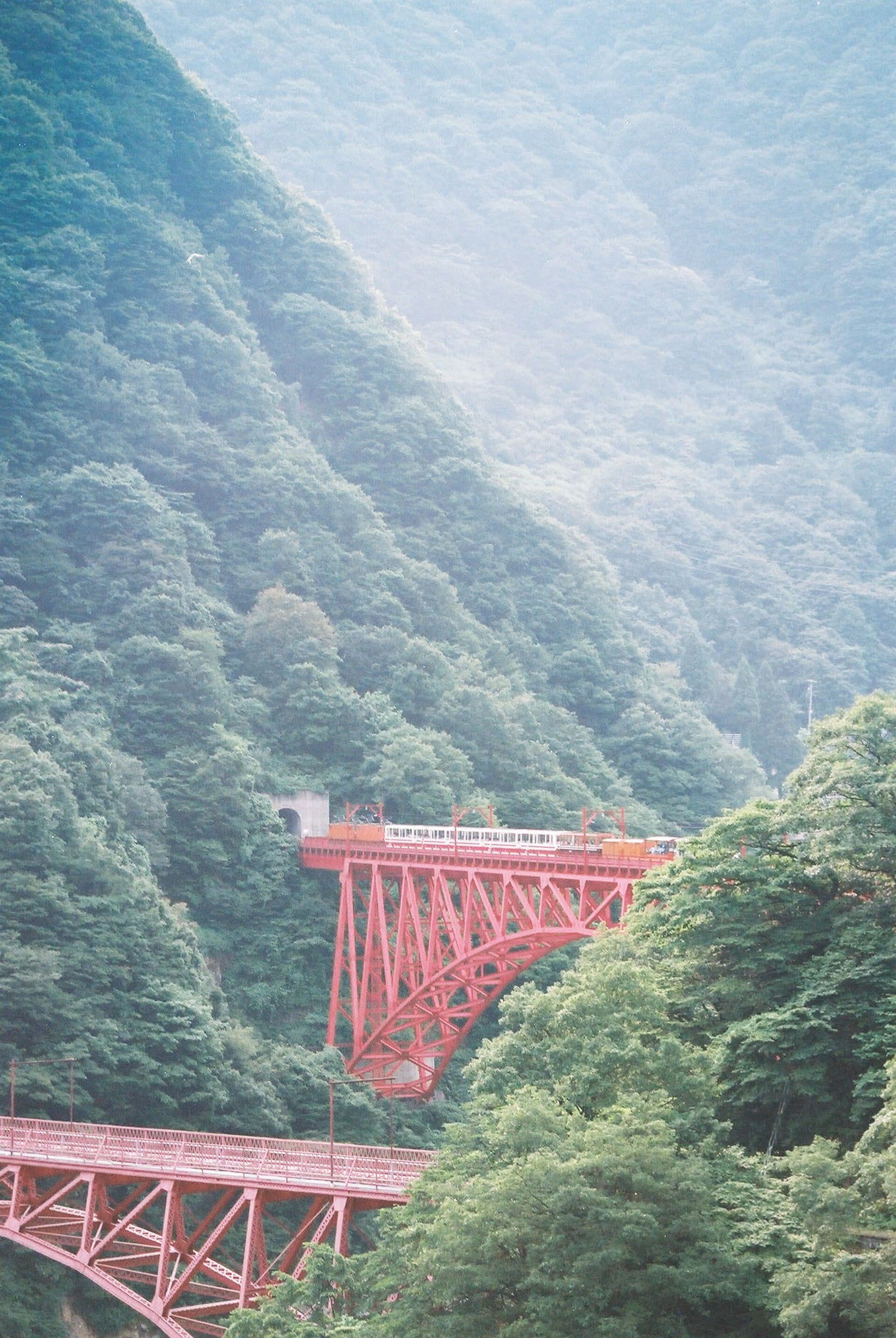 新山彦桥：新山彦桥：Wikimedia Commons 文件「Kurobe Gorge Railway 02.jpg」中的桥梁实景。