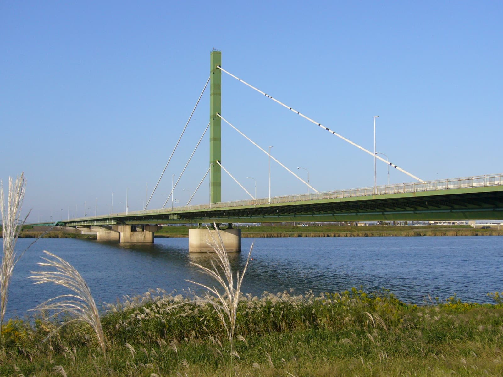 水乡大桥：水乡大桥：Wikimedia Commons 文件「Suigo-bridge,katori-city,japan.JPG」中的桥梁实景。