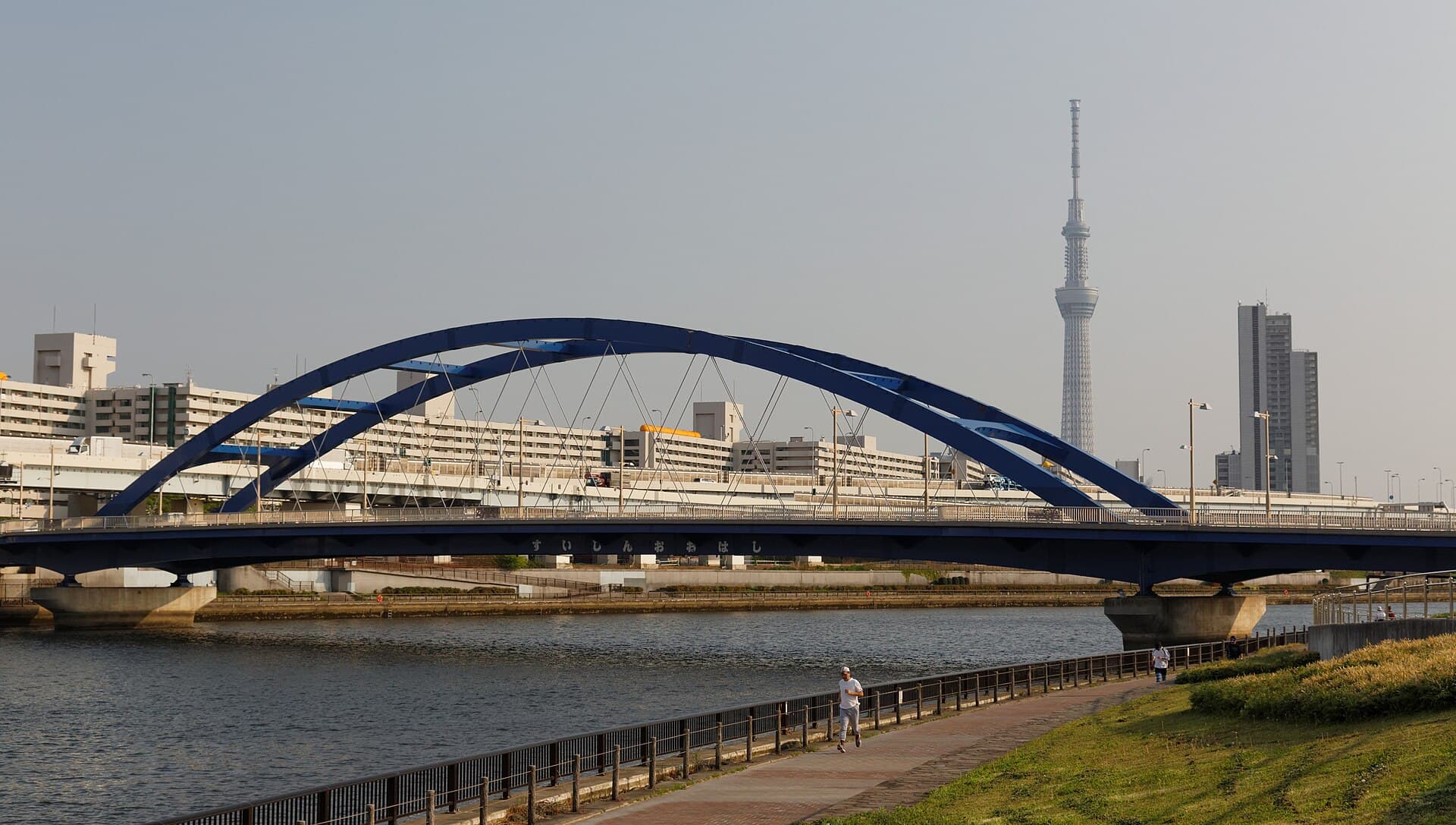 水神大桥：水神大桥：Wikimedia Commons 文件「With highway 461, and metropolitan expressway 6 (elevated) (8998382361).jpg」中的桥梁实景。