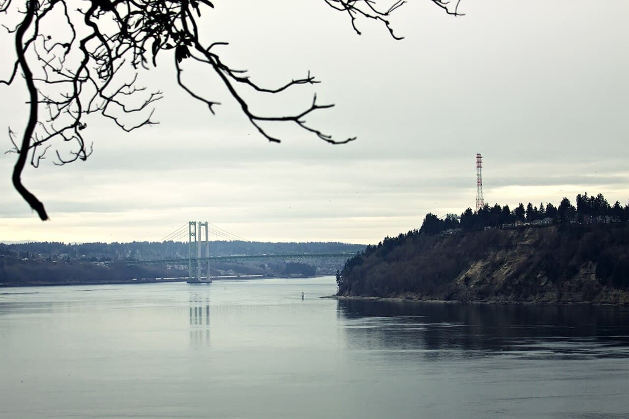 塔科马海峡大桥：从 Point Defiance 公园远眺。