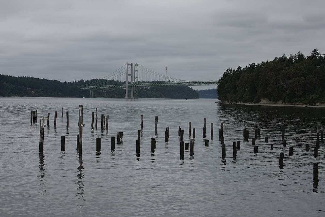 塔科马海峡大桥：Titlow Beach 远景及旧渡轮码头桩。