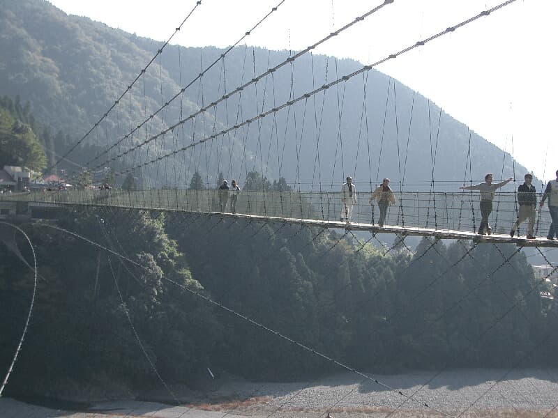 谷濑吊桥：谷濑吊桥：Wikimedia Commons 文件「Tanise Bridge2.jpg」中的桥梁实景。