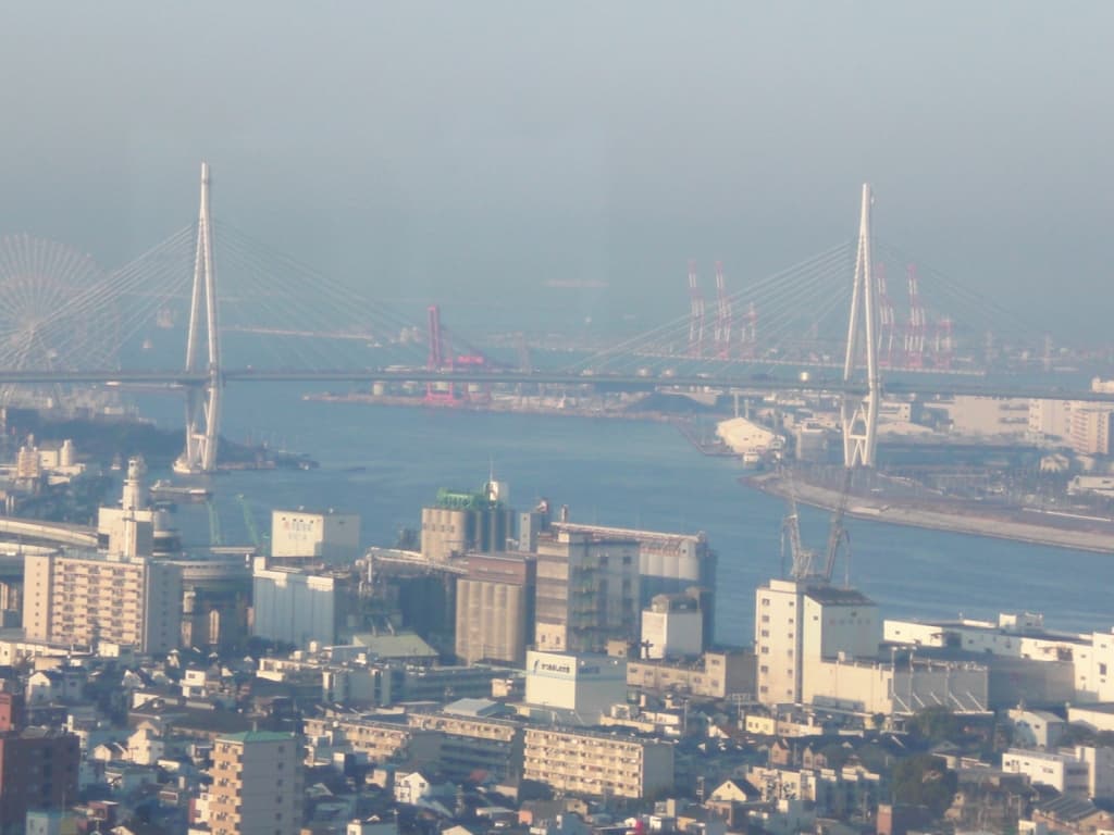 天保山大桥：天保山大桥：Wikimedia Commons 文件「Osaka in the morning, Tenpouzan Bridge.jpg」中的桥梁实景。