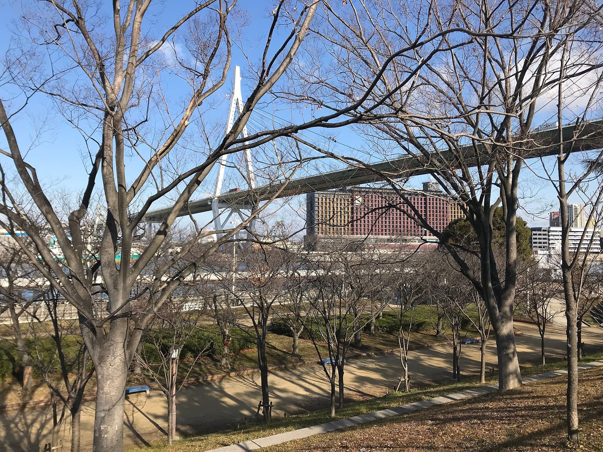 天保山大桥：天保山大桥：Wikimedia Commons 文件「Tempozan Bridge from observation deck in Tempozan Park.jpg」中的桥梁实景。