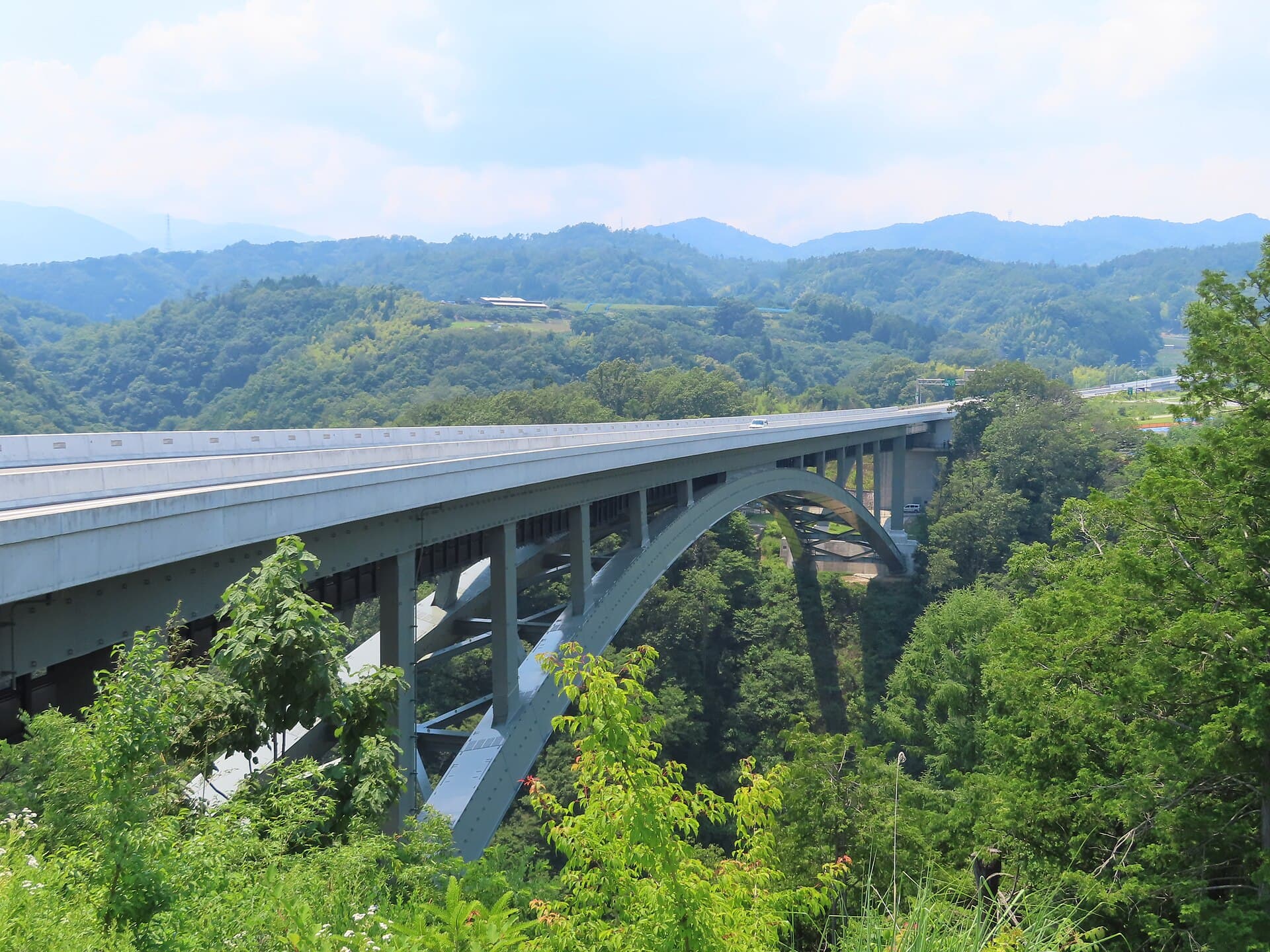 天龙峡大桥：天龙峡大桥：Wikimedia Commons 文件「Tenryukyo-ohashi Bridge 1.jpg」中的桥梁实景。