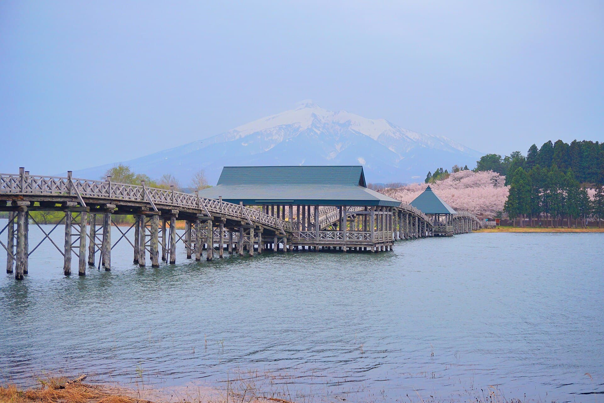 鹤之舞桥：鹤之舞桥：Wikimedia Commons 文件「Tsuruno-maihashi in April 2023.jpg」中的桥梁实景。
