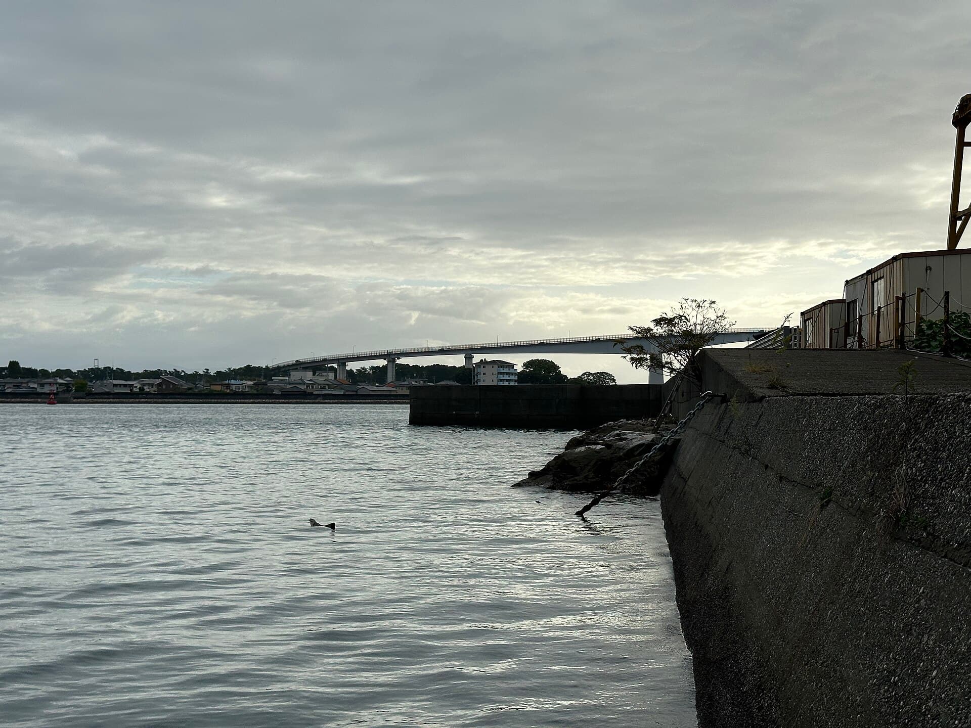 浦户大桥：浦户大桥：Wikimedia Commons 文件「Urado Bridge 10.jpg」中的桥梁实景。