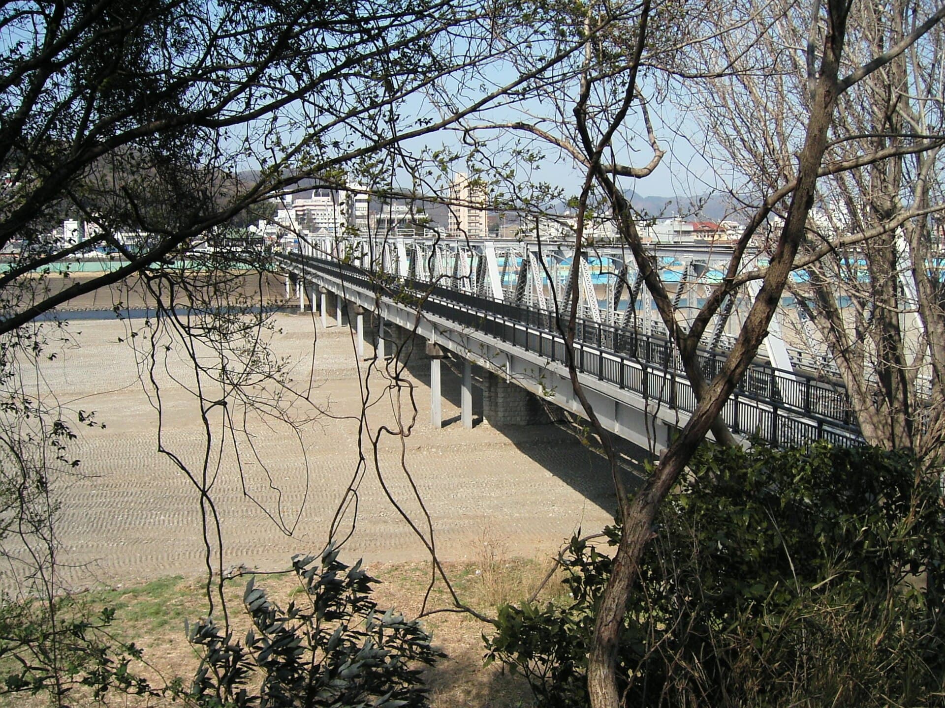 足利渡良濑桥：足利渡良濑桥：Wikimedia Commons 文件「WataraseBashiWest.JPG」中的桥梁实景。