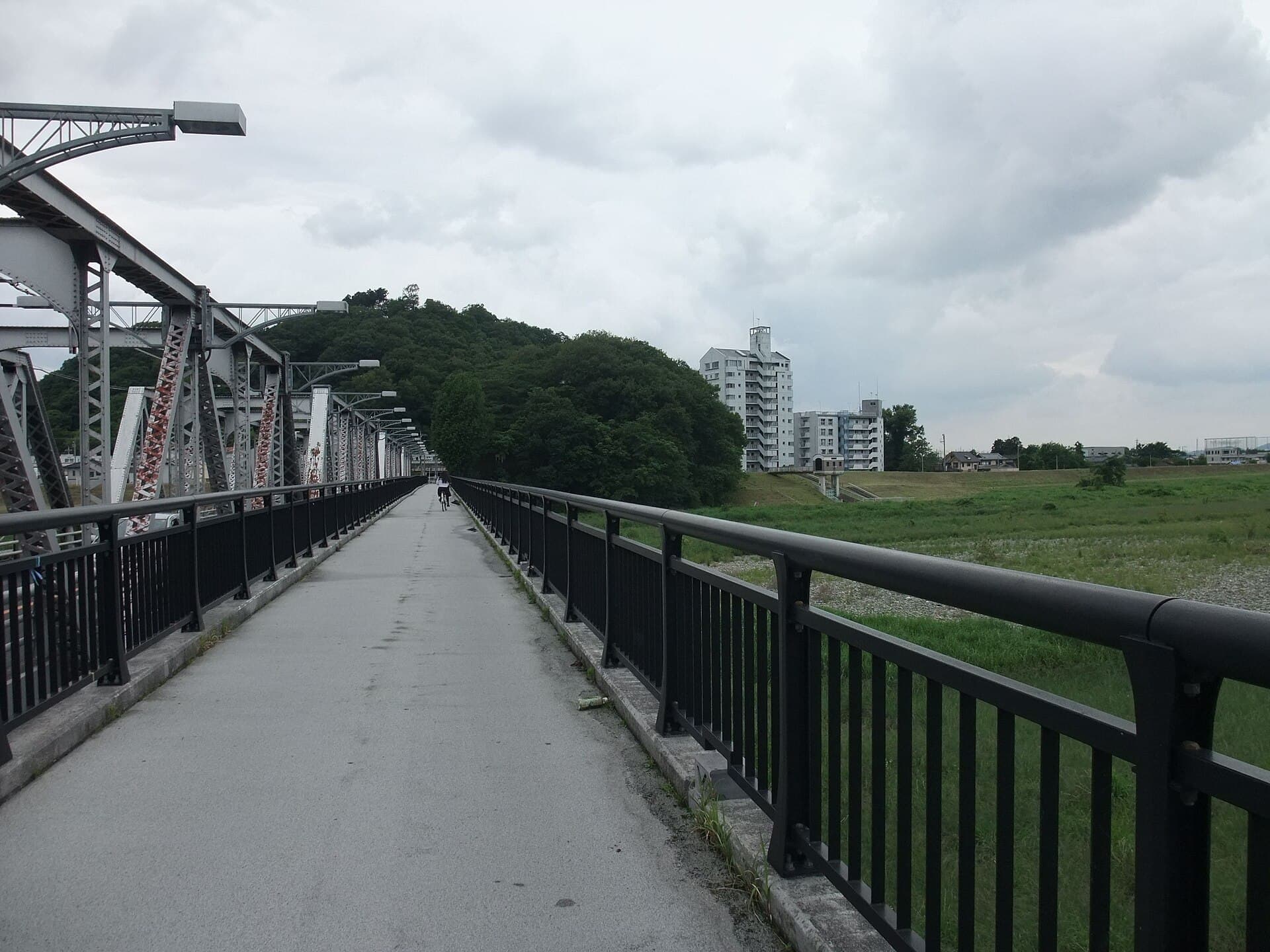 足利渡良濑桥：足利渡良濑桥：Wikimedia Commons 文件「渡良瀬橋その2 - panoramio.jpg」中的桥梁实景。