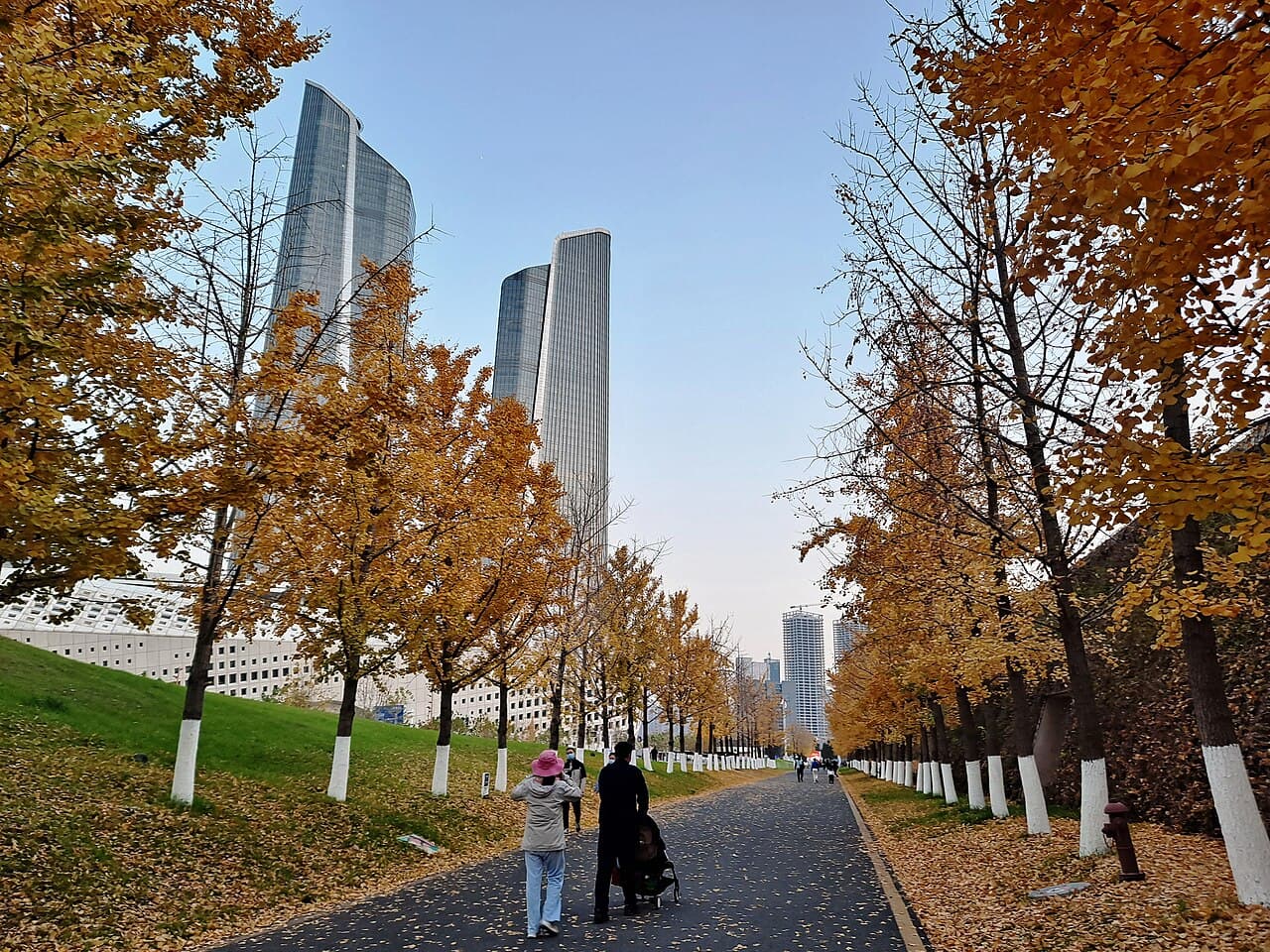 南京眼步行桥：南京眼步行桥实景 10