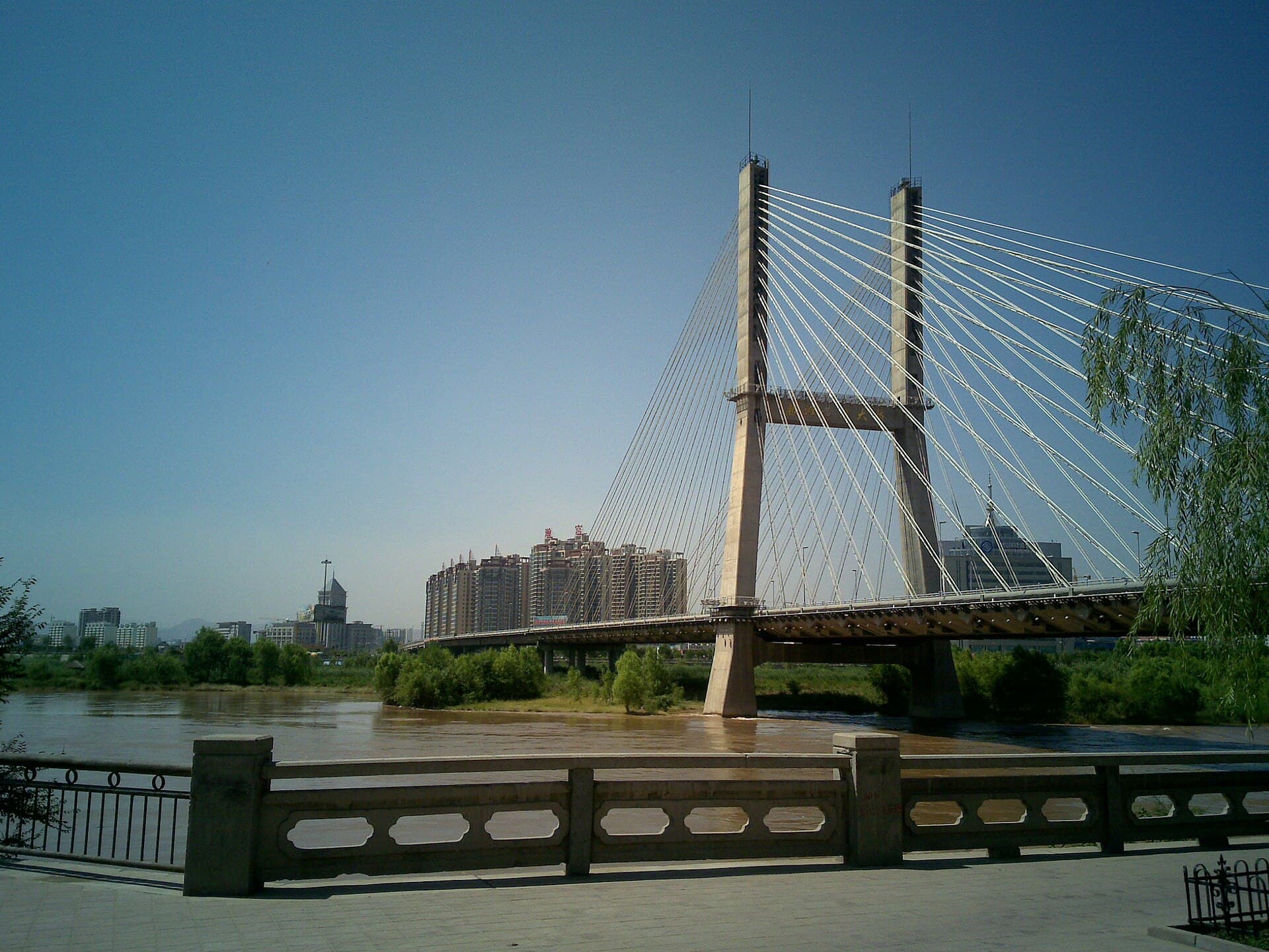 银滩黄河大桥：银滩黄河大桥主桥立面实景一。