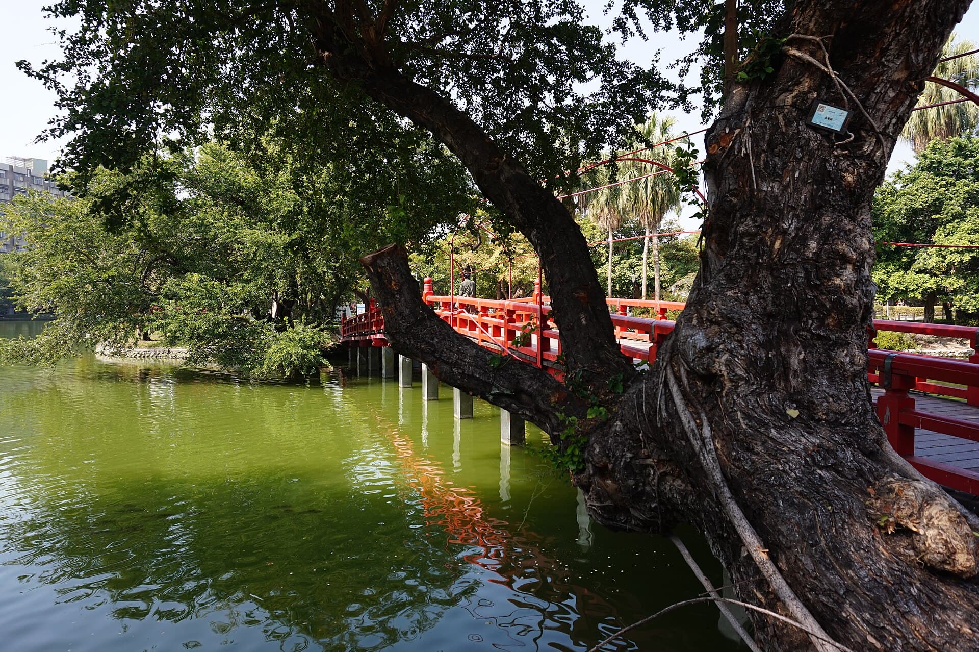 兰州中山桥：View of Zhongshan Bridge in Taichung Park 01.jpg