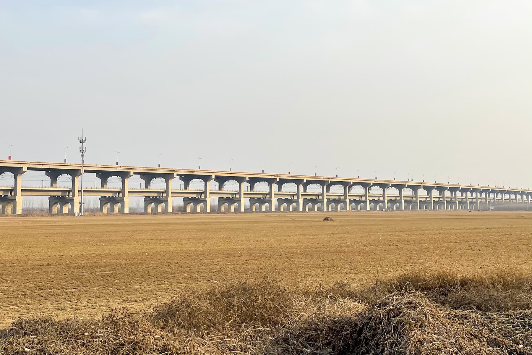 郑新黄河大桥：郑新黄河大桥桥区远景