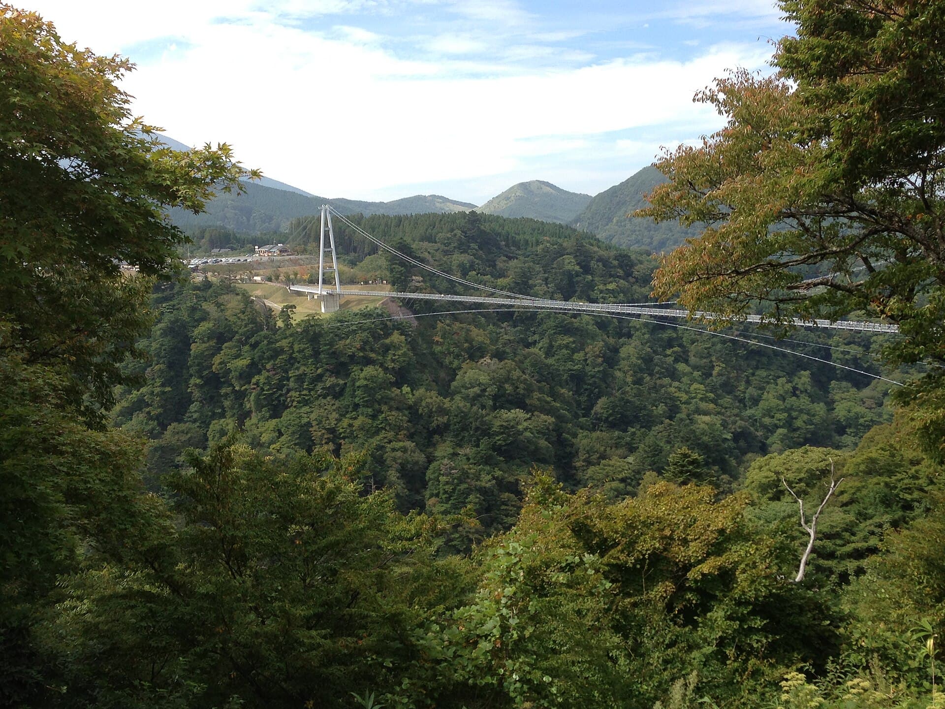 九重“梦”大吊桥主视觉