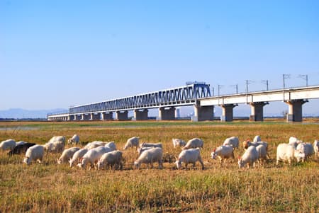 包西铁路黄河大桥项目图片